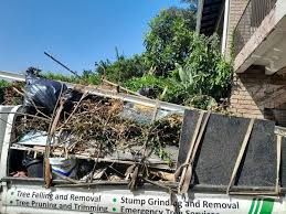 Professional Junk Removal  in Trezevant, TN